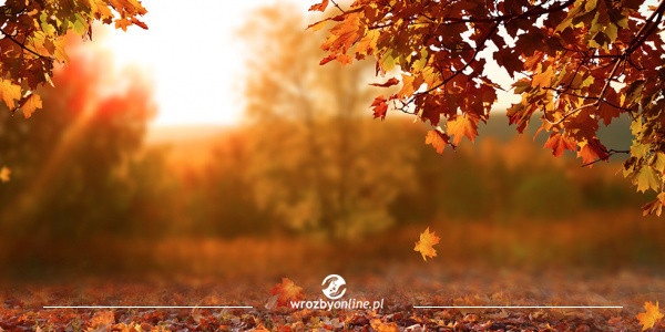 Mabon - równonoc jesienna. Czas zbiorów i refleksji