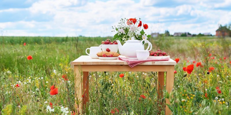 Wróżba weekendowa 20.06-21.06.2026