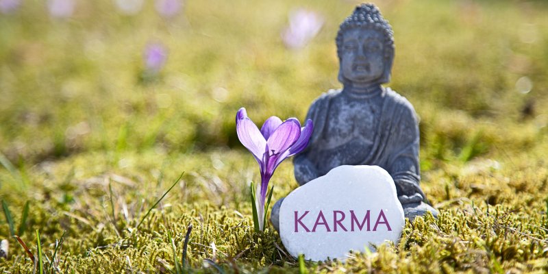 Karma czyli problemy wcieleń reinkarnacyjnych