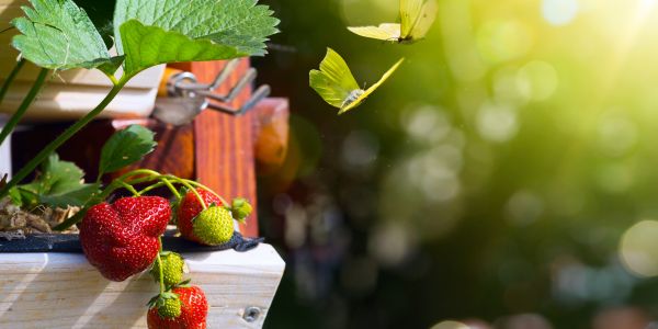 Prognoza weekendowa 18.06 - 19.06.22