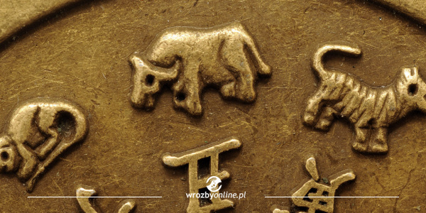 Chińskie znaki zodiaku - Bawół (Wół)