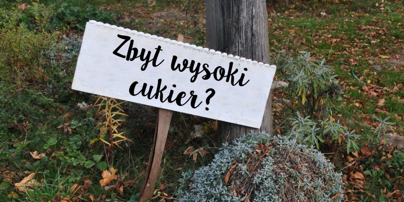 Zioła przeciwcukrzycowe
