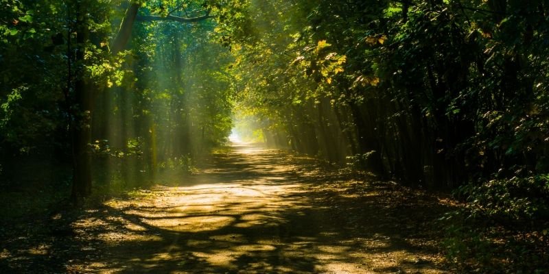 Iść drogą byle jak … Zajdzie się i tak