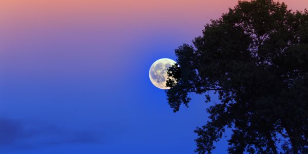 Magiczny horoskop księżycowy - sierpień 2022 roku