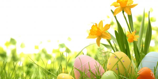 Prognoza weekendowa 16.04 - 18.04.22