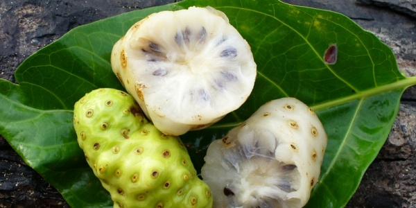 Noni