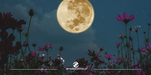 Księżyc Czarownic