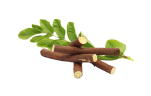 Lukrecja