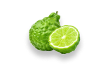 Bergamotka