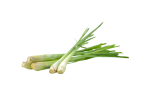 Trawa cytrynowa