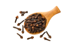 Gożdzik