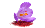 Szafran