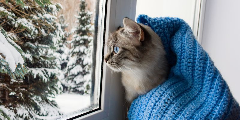 Wróżba weekendowa 17.01-18.01.2026