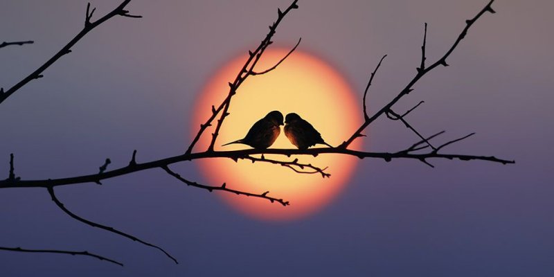 O miłości bez etykietek słów kilka...