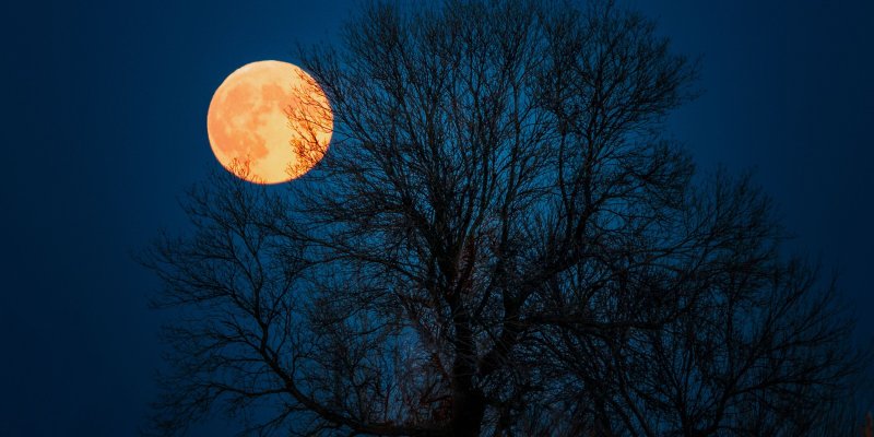 Klonowa Pełnia Księżyca, która wniesie wiele trudnych emocji