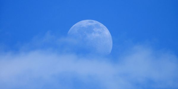 Horoskop księżycowy - czerwiec 2022 roku