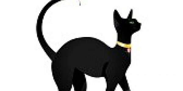 Jak to jest z czarnym kotem?