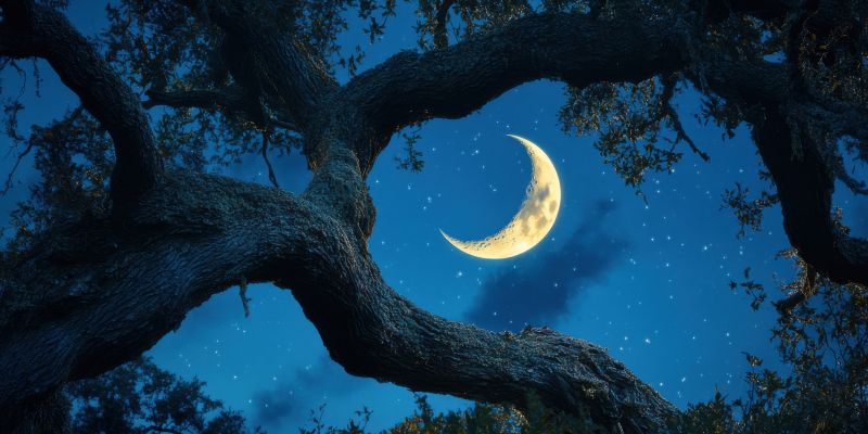 Nów Księżyca 17 kwietnia 2026