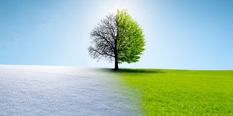 Równonoc wiosenna 2026