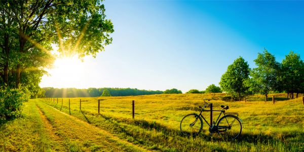 Horoskop Inków na lato 2022