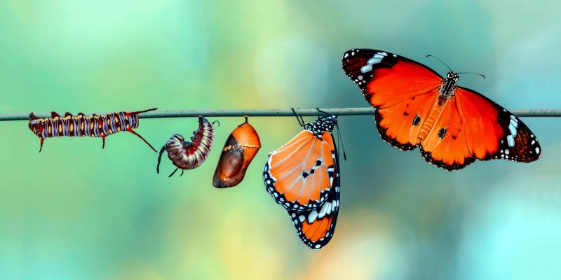 Czy jesteś gotowa na zmiany?