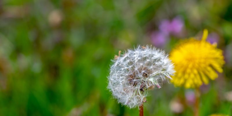 Czy Twoja dusza ma misję?