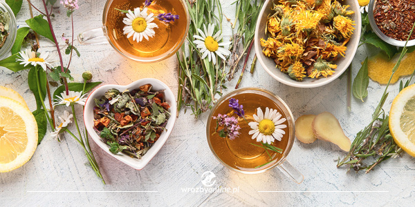 Zapomniane ziołolecznictwo