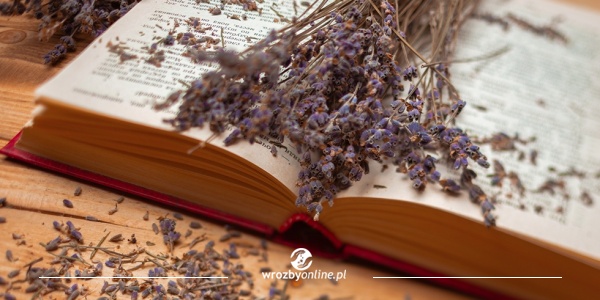 Moc suszonych ziół