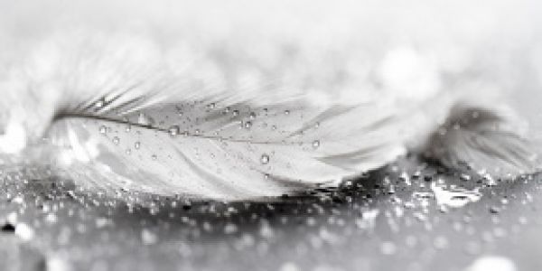 Karty z Radą Anielską