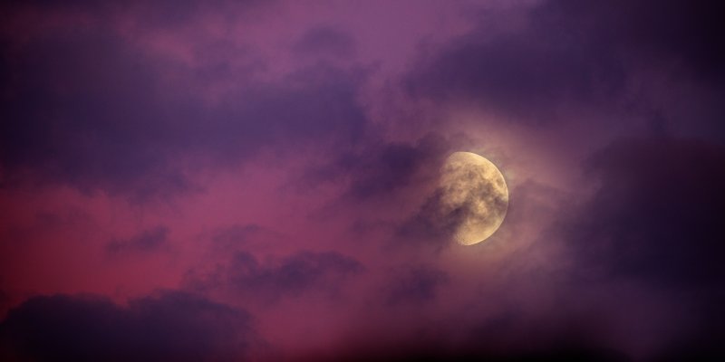 Głodny Księżyc 2023 roku