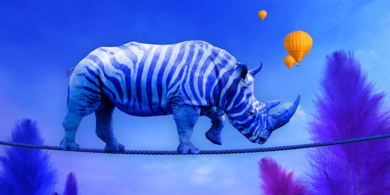 Czary a pewność siebie